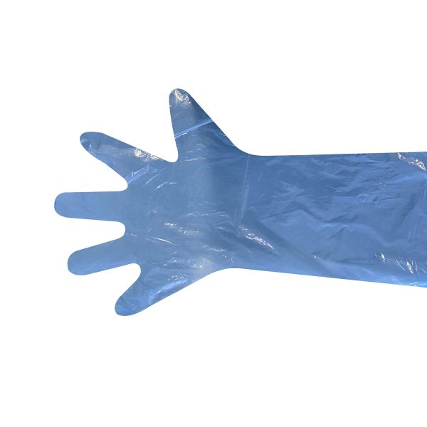 Disposable Shoulder Polygloves - 100 Pack Fashion