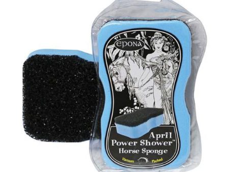 April Shower Sponge For Sale