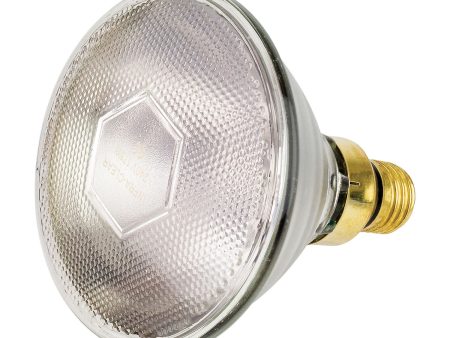 Intelec PAR38 Infra-Red Heat Bulb Clear - 100W For Cheap