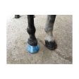 Farrier Cling Sale