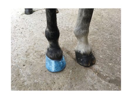 Farrier Cling Sale