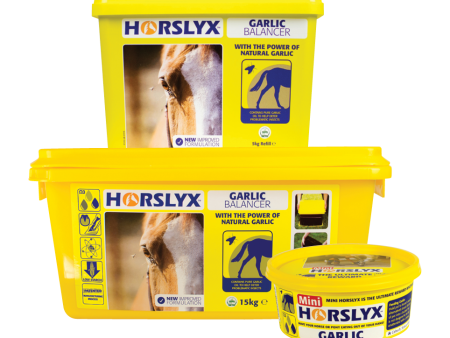 Horslyx Garlic Balancer Online Hot Sale