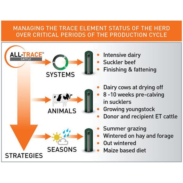 Agrimin All-Trace Standard Cattle Supply